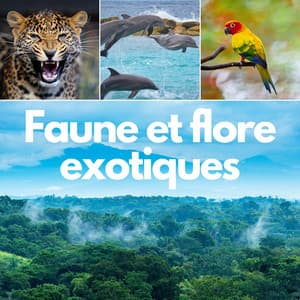 Faune et flore exotiques: Sons de la nature sauvage, Forêt tropicale, Détente naturelle - Oasis Des Bruits Naturels