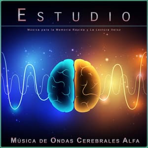 Estudio: Música para la Memoria Rápida y La Lectura Veloz - Música de Ondas Cerebrales Alfa