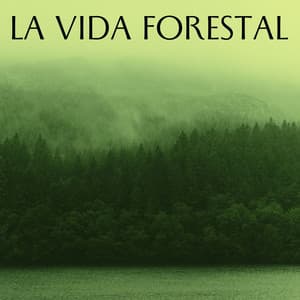 La Vida Forestal - Madre naturaleza