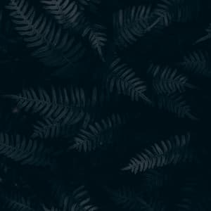 50 Meditation Sounds for Yoga, Zen and Spa - Soothing White Noise for Infant Sleeping and Massage