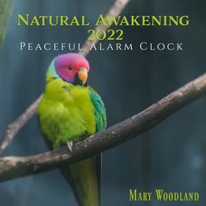 Natural Awakening 2022: Peaceful Alarm Clock, Nature Sound Effect Ringtones, Morning Stress and Cortisol Relief - Mary Woodland