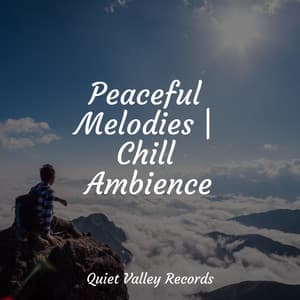 Peaceful Melodies | Chill Ambience - Relaxed Minds