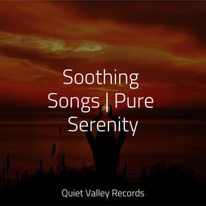 Soothing Songs | Pure Serenity - Calming Rainforest Sounds