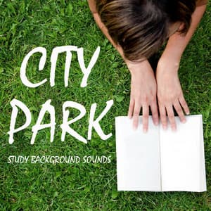 Study Background Sounds: City Park - Background Noise From TraxLab