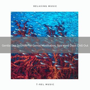 Gentle Sea Sounds For Genial Meditation, Spa Hard Days Chill Out - Instant Relax