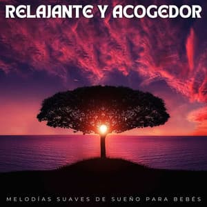 Relajante Y Acogedor: Melodías Suaves De Sueño Para Bebés - Dulces Sueños