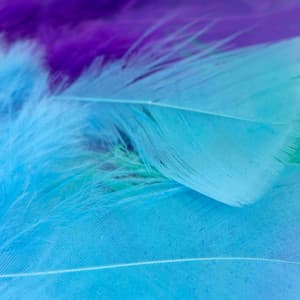 Quartet Jazz - Music for Jazzy Nature - Reading Music Deluxe