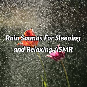 Rain Sounds For Sleeping and Relaxing ASMR - Australian Nature