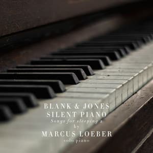 Silent Piano  2 - Piet Blank
