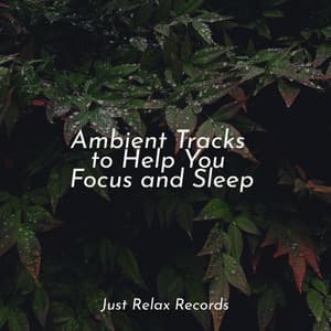 Ambient Tracks to Help You Focus and Sleep - Musica de Relajación Academy