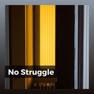 No Struggle - Meditative Music Guru