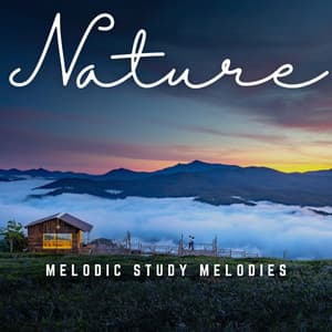 Focused Learning: Melodic Study Melodies - Music for Focus Classics