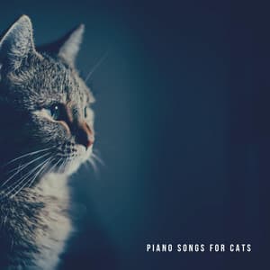 Piano Songs For Cats - Relaxing Piano For Pets