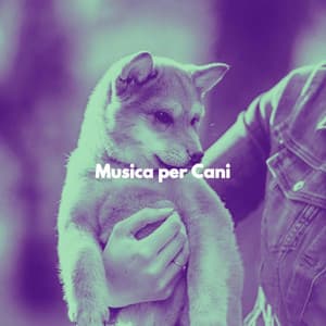 Musica per Cani - Dog Music Radio