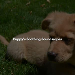 Puppy's Soothing Soundscapes - Música Animada para Cafés