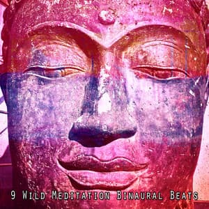 9 Wild Meditation Binaural Beats - Binaural Sensation