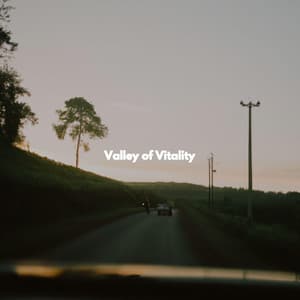 Valley of Vitality - Work at Home Music