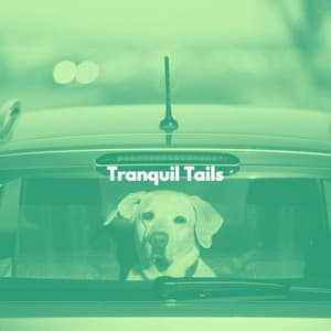 Tranquil Tails - Relax My Dog Music