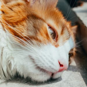 Restful Noise for Quiet Nights - White Noise For Baby Sleep