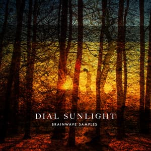 Dial Sunlight - Brainwave Samples