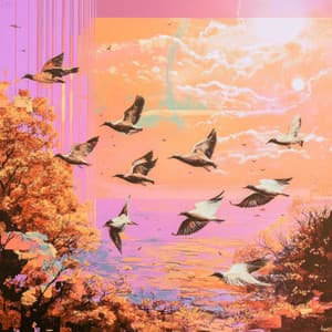 超越の翼 - Birds In The Morning