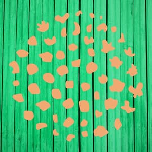 Jazz Organ and Bossa Guitar Trio - Bossanova Playlist