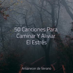 50 Canciones Para Caminar Y Aliviar El Estrés - Sonido Del Bosque y Naturaleza