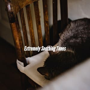 Extremely Soothing Tunes - Sunday Morning Jazz Vibes