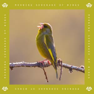 Morning Serenade of Wings - Ornithara