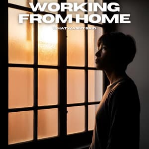 What Wasn’t Said - Working from Home