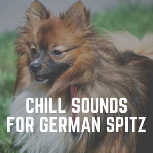 Chill Sounds for German Spitz - Music for Calming Dogs