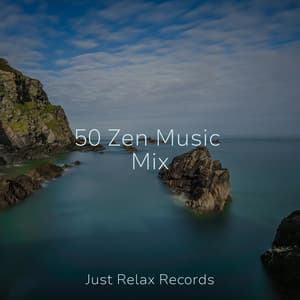 50 Zen Music Mix - Relajación
