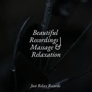 Beautiful Recordings | Massage & Relaxation - Nature Sounds Nature Music