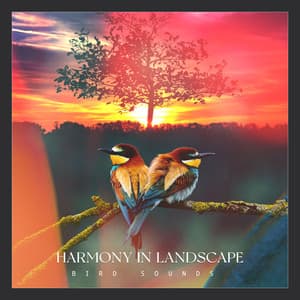 Harmony in Landscape - Bird Sounds