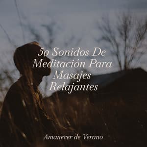 50 Sonidos De Meditación Para Masajes Relajantes - Música Para Meditar y Relajarse
