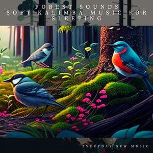 Forest Sounds: Soft Kalimba Music for Sleeping - Everyday New Music