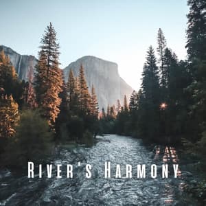 River's Harmony: Chill Piano for Relaxation and Renewal - Nighttime Relaxation Melodies