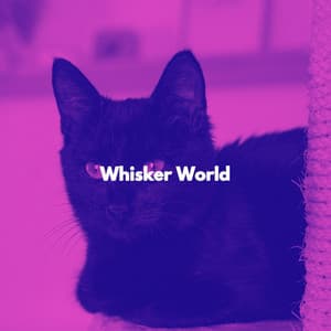 Whisker World - Cat Music