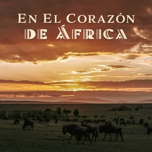 En El Corazón de África - Música Étnica Africana para Yoga, Meditación y Relajación, Sonidos de Tambores, Kalimba y Naturaleza - Relajación Música Fondo Conjunto