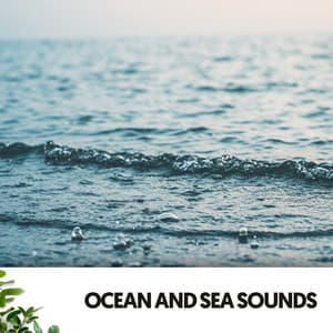 Ocean and Sea Sounds: Melodies of the Deep Blue Sea - Ruido Blanco Hart