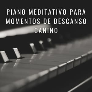 Huellas Armónicas: Piano Meditativo Para Momentos De Descanso Canino - Música relajante para cachorros