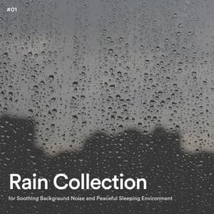 #01 Rain Collection for Soothing Background Noise and Peaceful Sleeping Environment - Rain Radiance