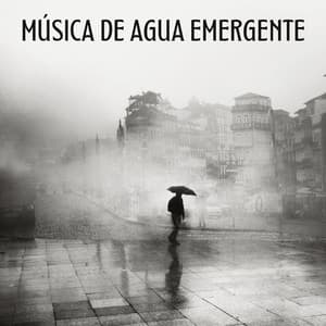 Música De Agua Emergente - Palacio de la lluvia