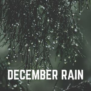 December Rain - Rain for Sleep