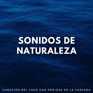 Sonidos De Naturaleza: Curación Del Yoga Con Sonidos De La Cascada - Ciencia de la cascada