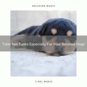 Total Sea Tunes Especially For Your Beloved Dogs - Dog Relax