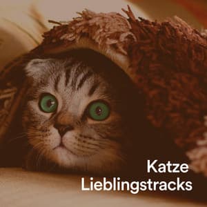 Katze Lieblingstracks - Katzenmusik