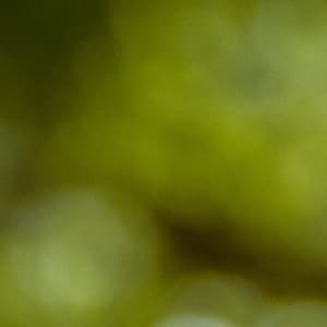 0 Hour Zen: Yoga Terrain - between waves