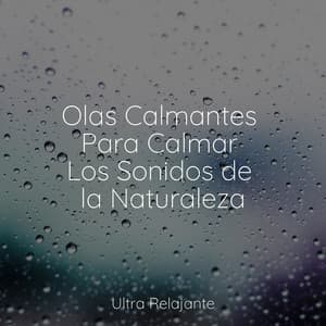 Olas Calmantes Para Calmar Los Sonidos de la Naturaleza - Musica Relajante