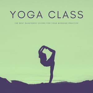 Yoga Class: The Best Rainforest Rivers For Your Morning Practice - The Noise Project